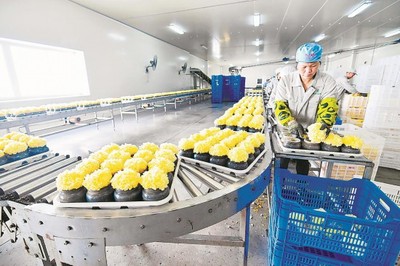 RCEP紅利顯現 福建農產品出口迎增長機遇