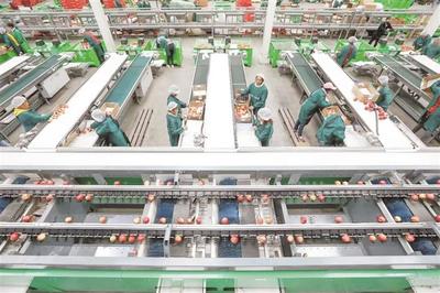 威寧 做強工業支撐 激活發展引擎——農產品的生產轉型之路