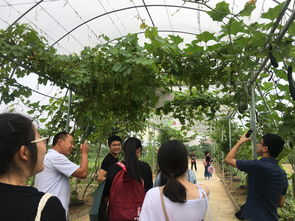 深化專(zhuān)業(yè)認(rèn)知，筑牢安全基石——記四年制高職本科食品質(zhì)量與安全專(zhuān)業(yè)農(nóng)產(chǎn)品安全生產(chǎn)認(rèn)知實(shí)習(xí)